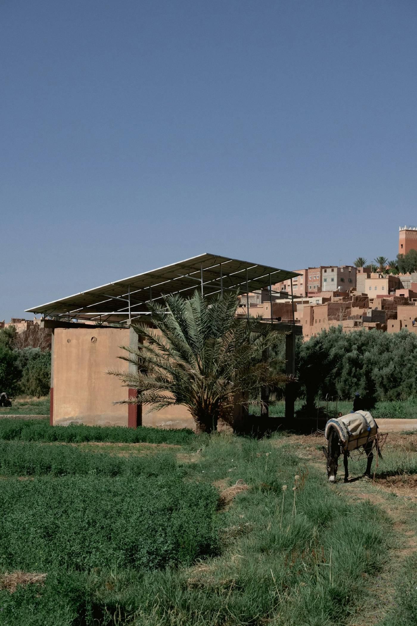 Panneaux solaires : une école plus stable et plus autonome — photo 4